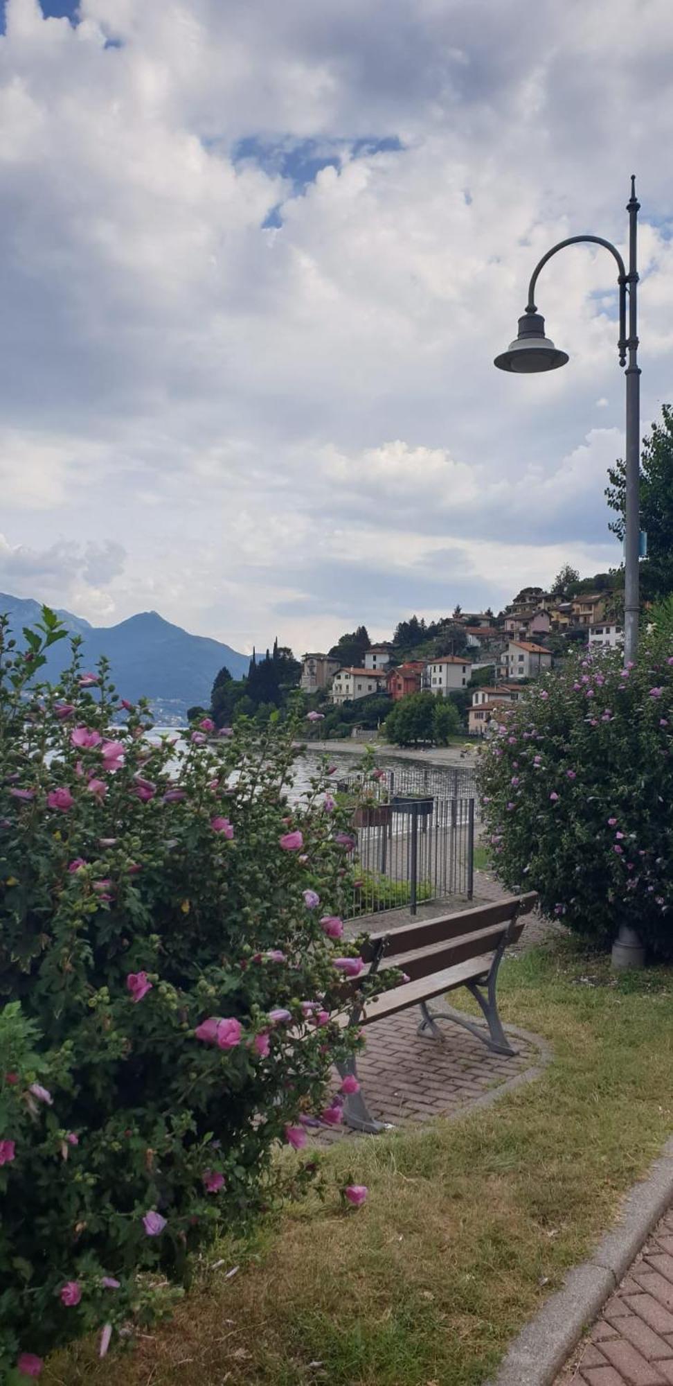 Residence Laguna Beach Pianello Del Lario Εξωτερικό φωτογραφία